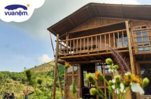 Top 20 homestay ở Bảo Lộc view đẹp, giá rẻ được nhiều du khách yêu thích