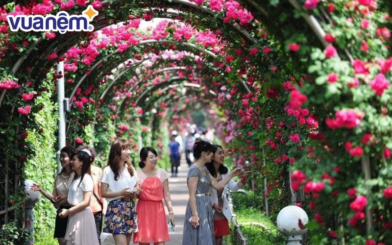 Công viên hoa hồng Rose Park là điểm hấp dẫn giới trẻ tại quận Long Biên