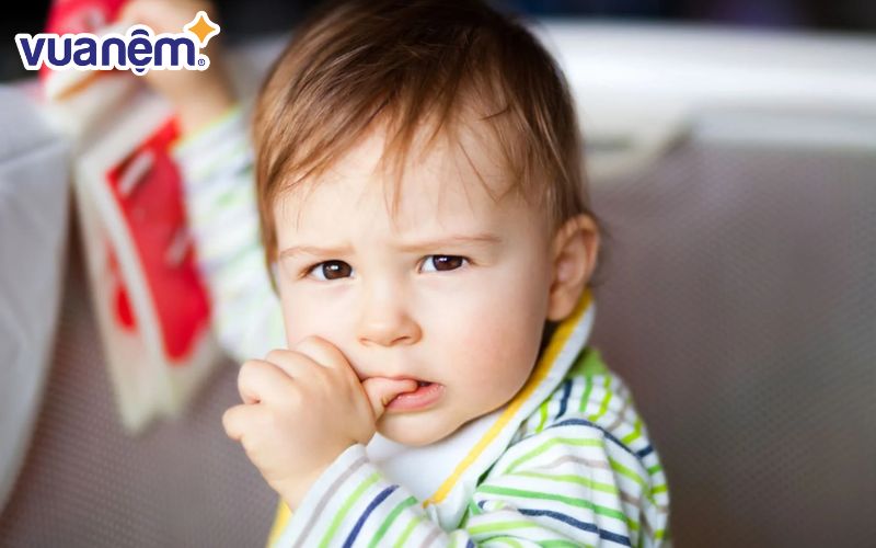 Bé trai tên Phong sẽ mang sức mạnh quật cường và bản lĩnh từ ngọn gió