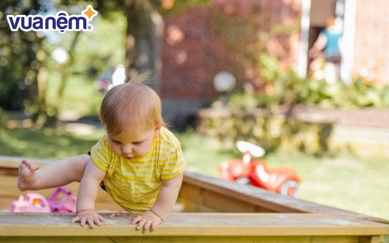 Bố mẹ có họ thuộc mệnh Thủy nên đặt tên con theo mệnh Mộc hoặc Kim