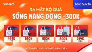 Độc quyền tặng khách Bạch Kim: Bộ quà Sống Năng Động giảm 300K & nệm cao su than tre ưu đãi tới 10% 