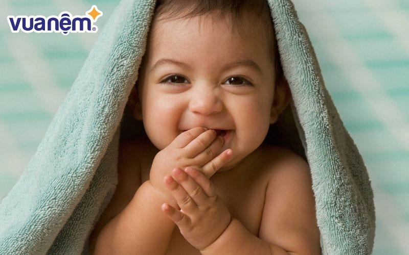 Từ "Bảo" thường được liên hệ đến những đồ vật quý giá