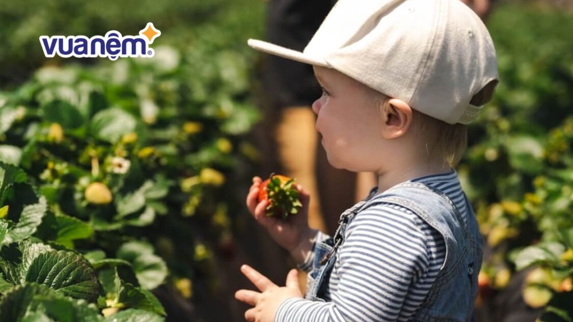 Tên con trai bắt đầu bằng chữ C hay và ý nghĩa