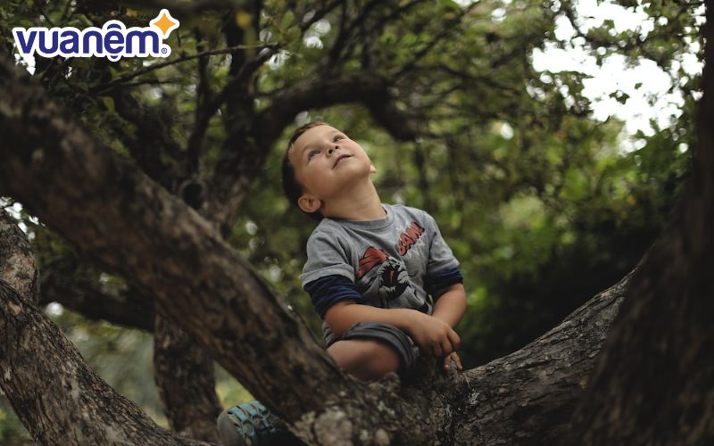 Đặt tên con trai là Hữu Minh