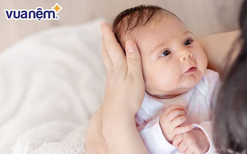 Các bé trai tên Sơn thường lớn lên với vẻ ngoài thông minh, sáng láng