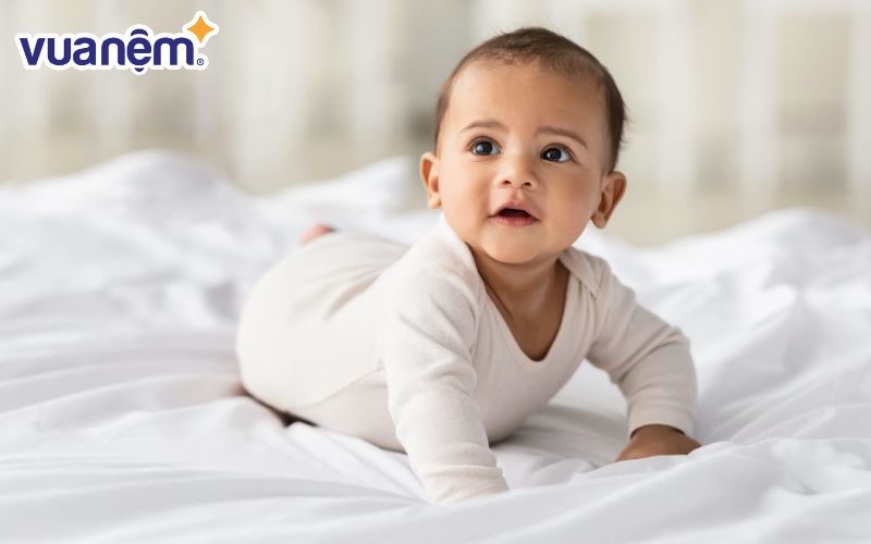 Thành Việt chân thành và hay giúp đỡ người khác