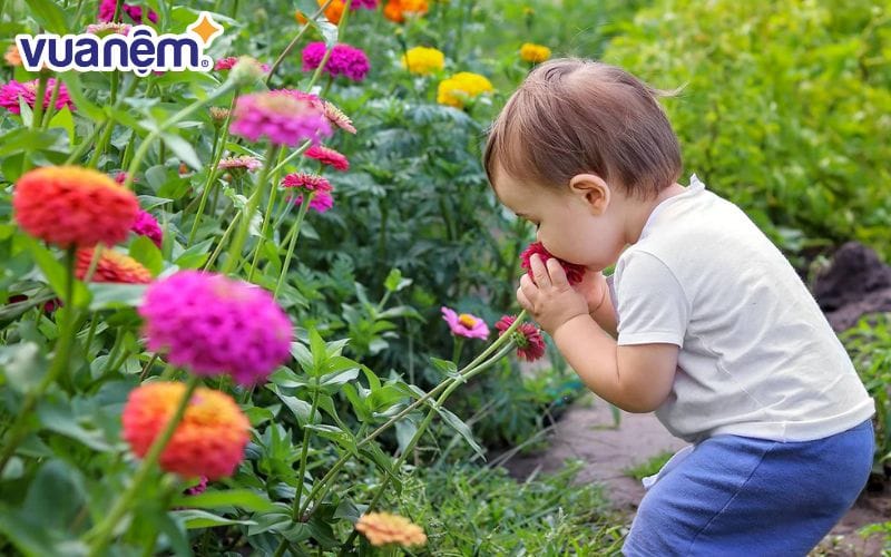 Tên Vinh đệm gì hay và hợp phong thuỷ