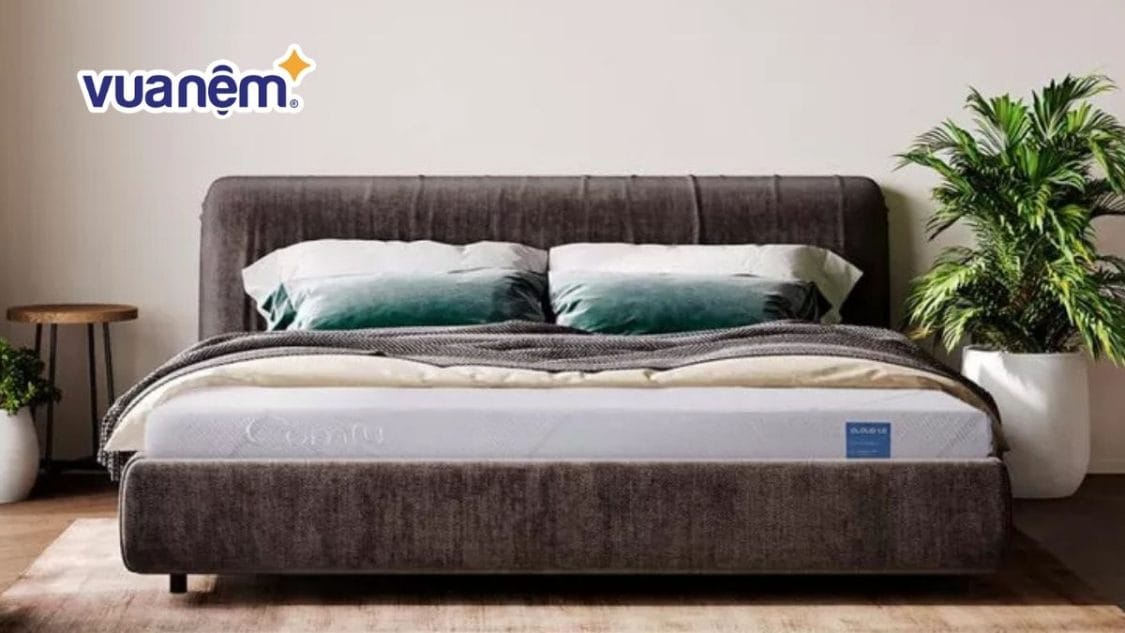 Có nên nằm nệm mùa hè không? 6 tiêu chí chọn nệm cần nhớ