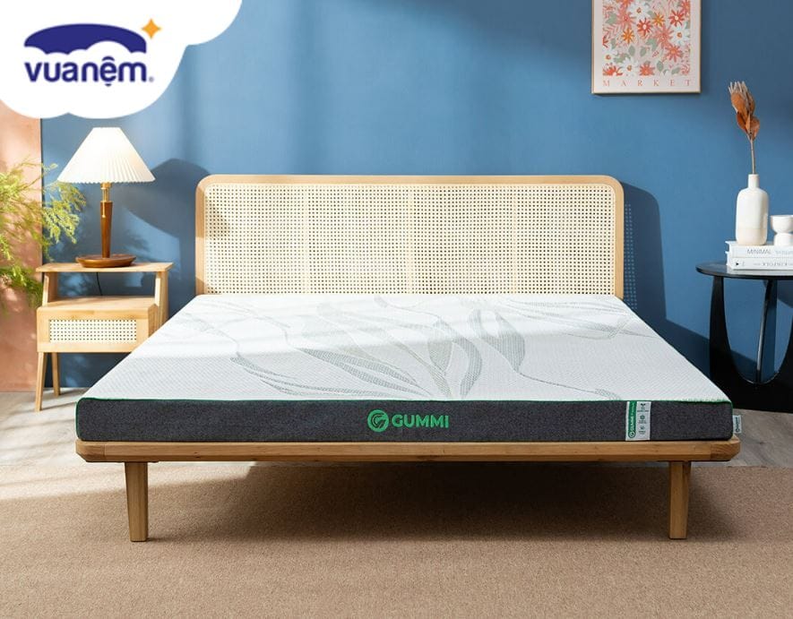 nệm cao su than tre kháng khuẩn gummi premium