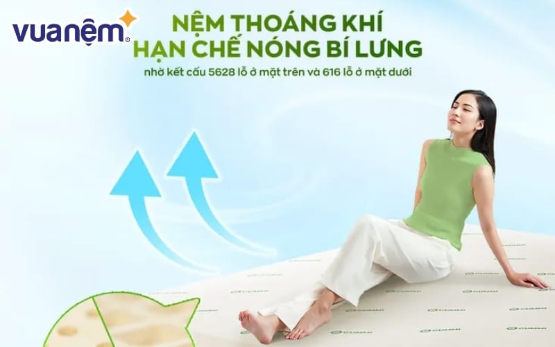 Nệm cao su thiên nhiên Gummi Classic
