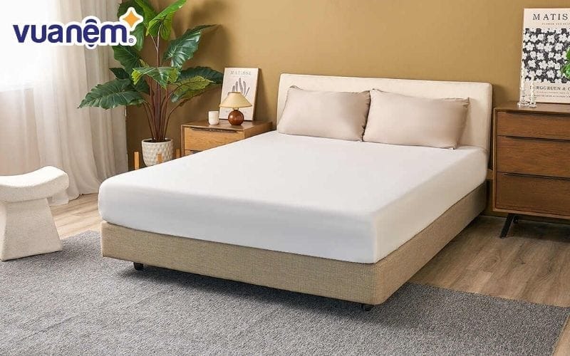 Ga chống thấm được thiết kế với nhiều chất liệu khác nhau để người tiêu dùng có thể lựa chọn