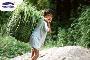 Ngày Thế giới Chống Lao động Trẻ em (12/06) có ý nghĩa gì?