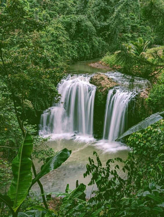 Suối zenda glamping bảo lộc