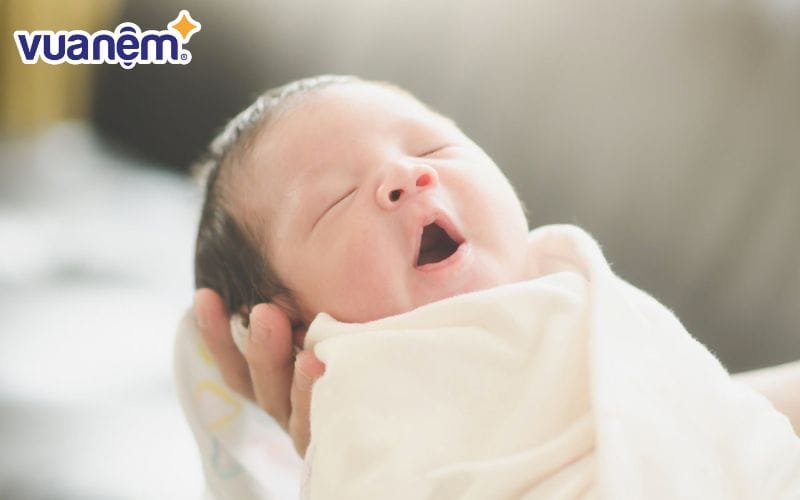 Tên con gái bắt đầu bằng chữ K hay và đáng yêu