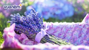 Gợi ý 101+ cách cắm hoa lavender khô đơn giản, tinh tế