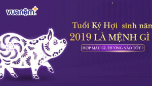 Sinh năm 2019 mệnh gì? Những điều cần biết về tuổi này