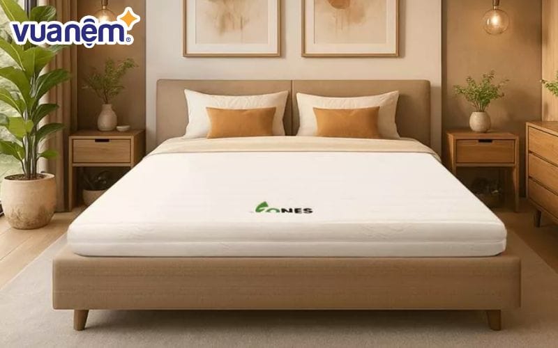 Có rất nhiều cách để bạn xử lý những chiếc nệm cũ