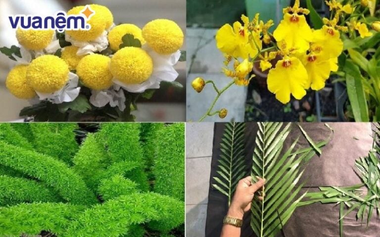 10+ cách cắm hoa lan chơi Tết, trang trí phòng khách - Vua Nệm