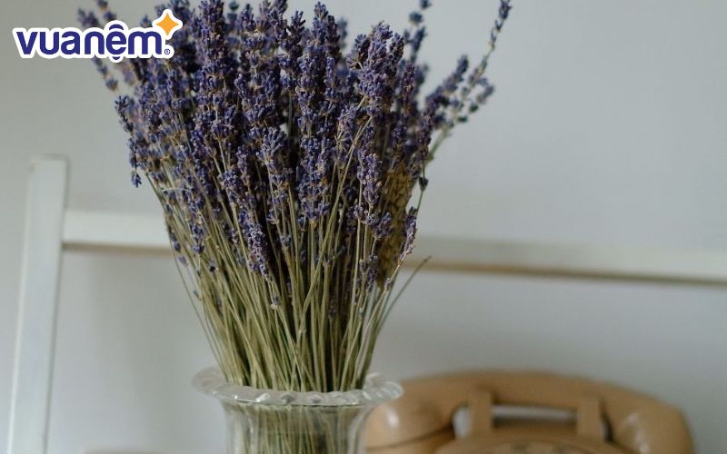 Cách cắm hoa lavender trong lọ thủy tinh để tạo sự trang nhã