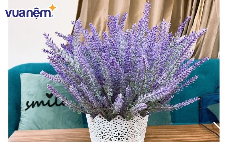 Cách cắm hoa lavender khô theo phong cách Pháp