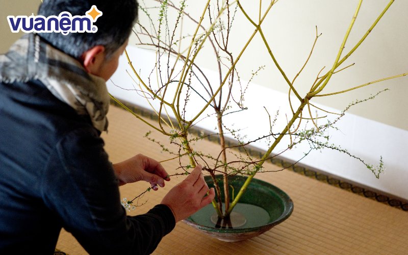 Nghệ thuật cắm Ikebana mang lại vẻ đẹp tinh tế, yên bình và gần gũi với thiên nhiên