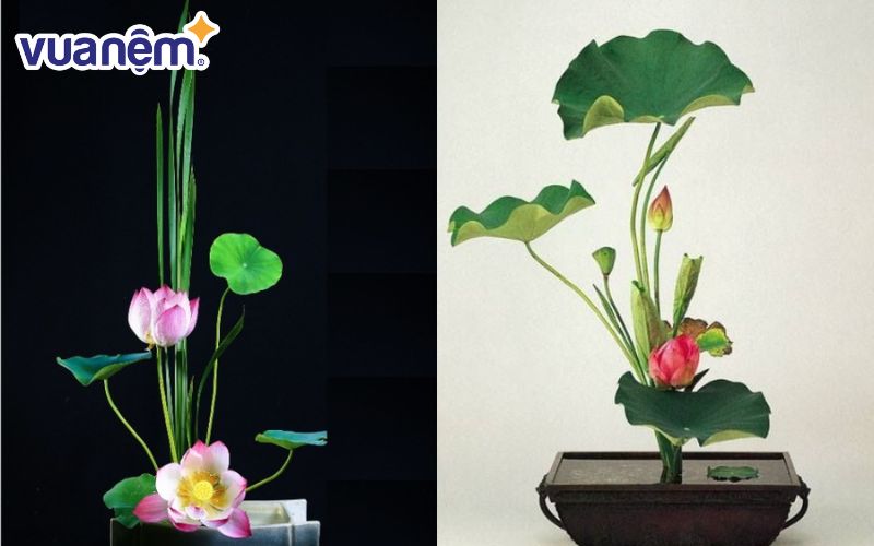 Gợi ý cách cắm hoa sen với phong cách Ikebana