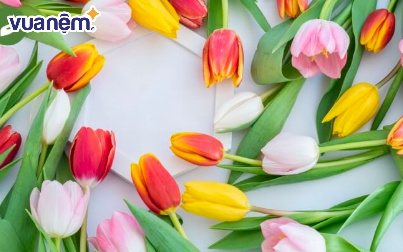 Hoa tulip từng có giá đắt bằng cả một ngôi nhà vào thế kỷ 17