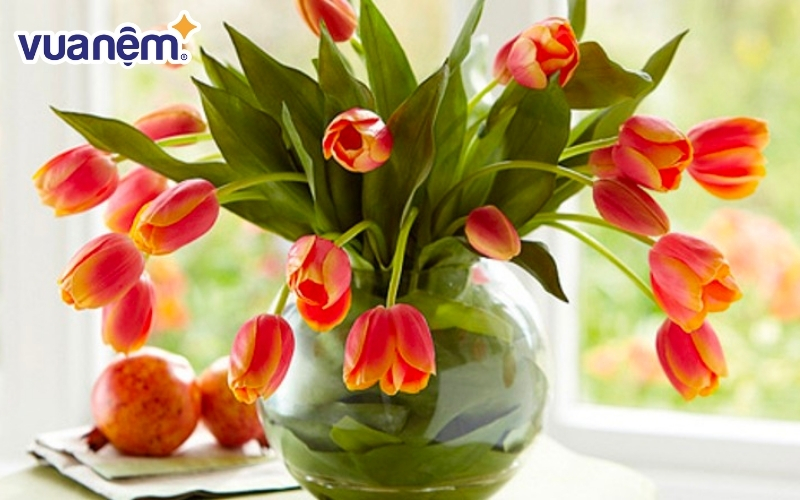 Cách cắm hoa tulip có lá xanh xen giữa