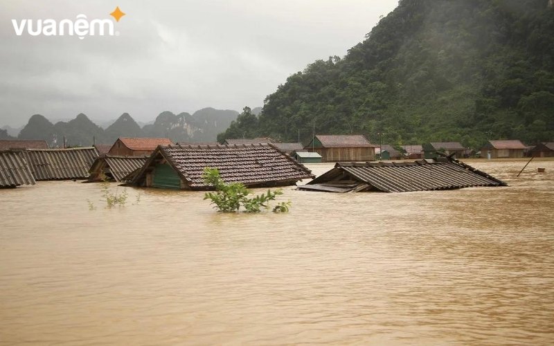 Bão ảnh hưởng trực tiếp đến kinh tế cá nhân mà còn dẫn đến các vấn đề xã hội