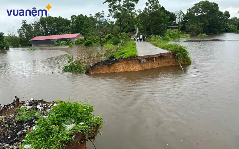 Vỡ đê điều là một trong những nguyên nhân gây ngập lụt