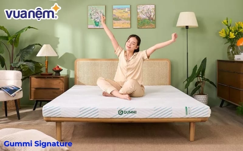 Nệm Gummi Signature – Công nghệ kép, kháng khuẩn và điều hòa nhiệt độ thông minh