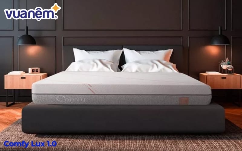 Nệm foam Comfy Lux 1.0 – Làm mát và nâng đỡ 5 vùng cơ thể