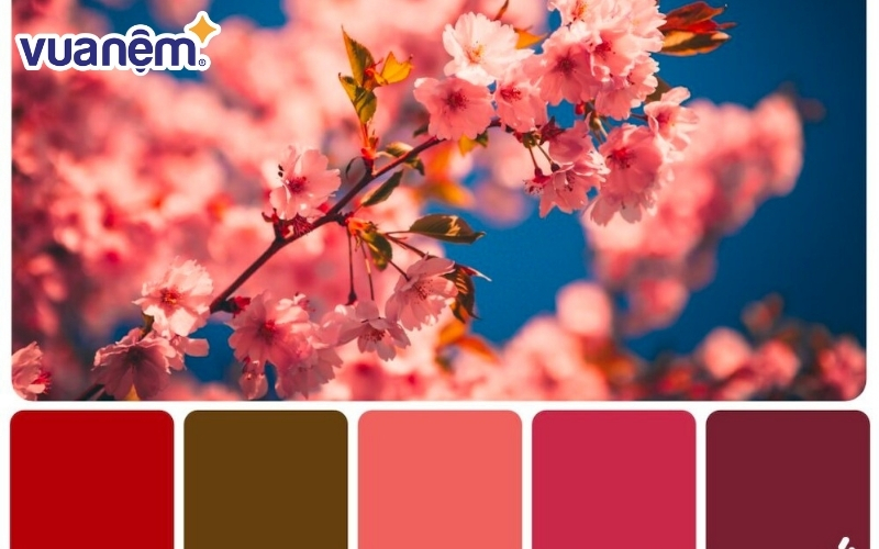 Spring Color phù hợp với những người có tone da thiên hồng hoặc da dưới ánh sáng nóng