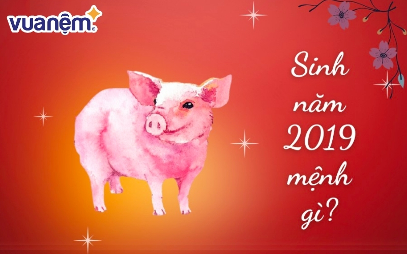 Sinh năm 2019 mệnh gì? Tuổi con giáp nào?