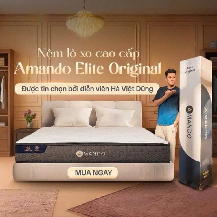 Đệm phù hợp với chiếu trúc