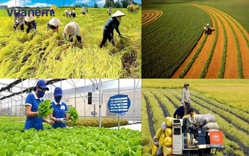 Giúp sản xuất nông nghiệp không bị gián đoạn