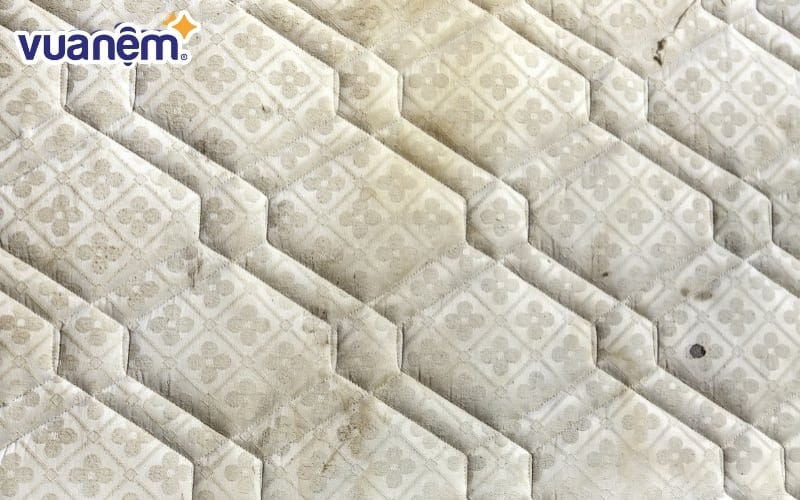 Sử dụng cách xử lý nệm lò xo cũ không đúng có thể gây ô nhiễm môi trường