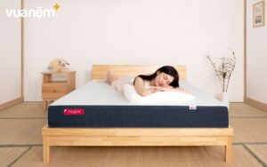 Bảng giá mẫu nệm 1m6x1m9 bán trên thị trường năm 2024