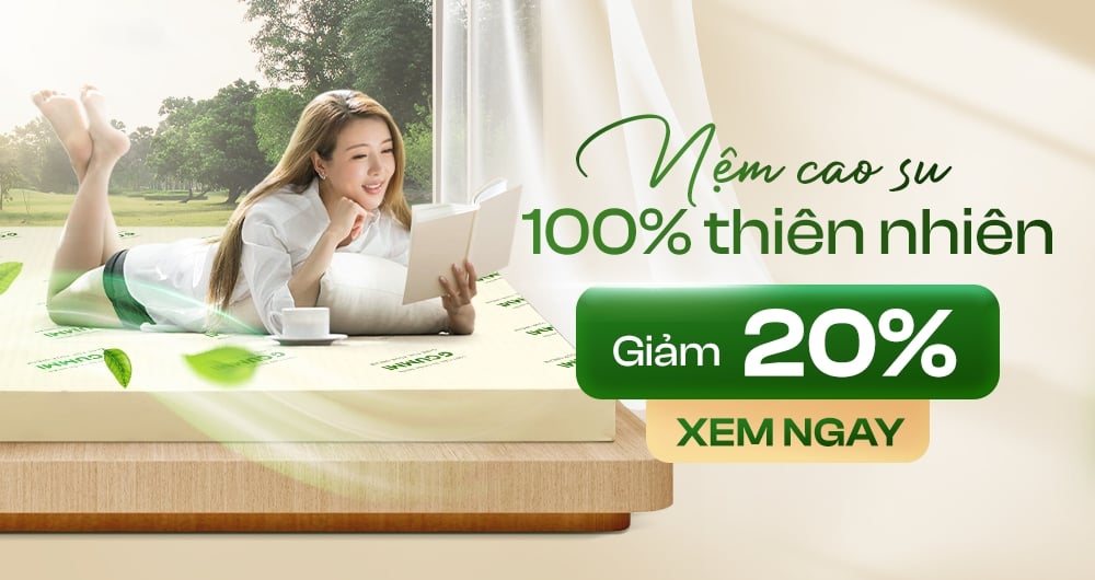 Banner nệm cao su