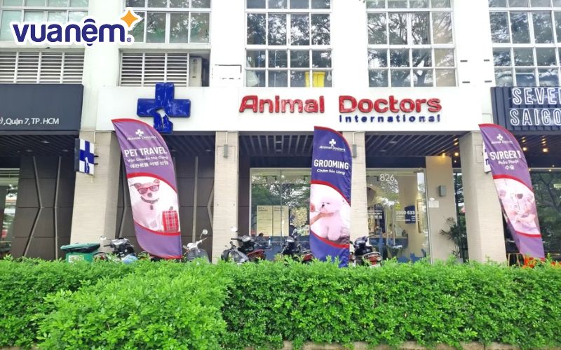 Bệnh viện thú y TPHCM Animal Doctors International