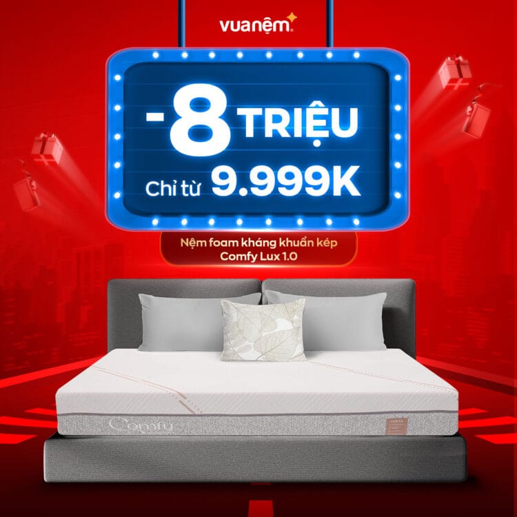 Nệm foam kháng khuẩn kép Comfy Lux 1.0