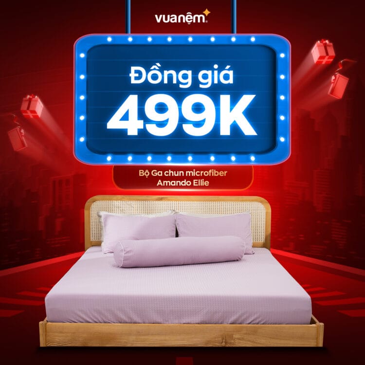 Bộ Ga chun microfiber Amando Ellie