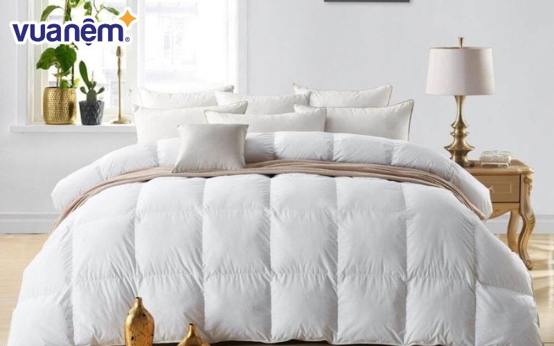 Với 90% lông nhung, chăn Doona Dream Cloud đích thực là nhẹ như lông hồng