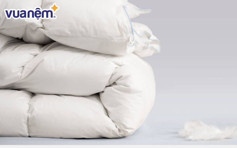 Ruột chăn lông vũ Doona Dream Cloud sở hữu nhiều ưu điểm vượt trội