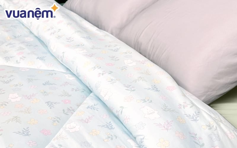 Chăn đông giữ nhiệt Dreamland 3D