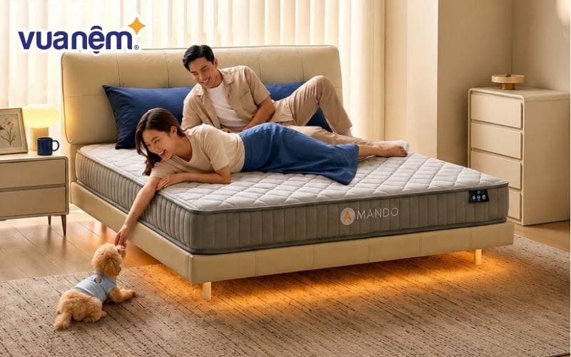 Chọn nệm 1m6 phù hợp với nhu cầu và tình trạng sức khỏe của bạn