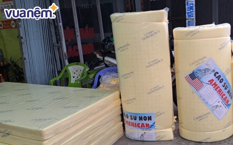 Tổng quan về dòng nệm cao su non