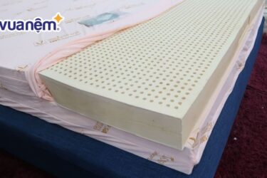 mua nệm cao su ở TPHCM