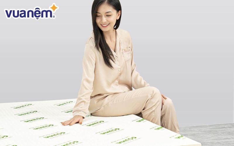 Nệm cao su Gummi Classic 1m4 x 2m