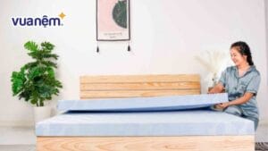 Bảng giá mẫu nệm 1m4 x 1m8 bán trên thị trường năm 2026